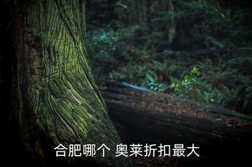 合肥奧萊體育用品,奧萊體育用品有限公司