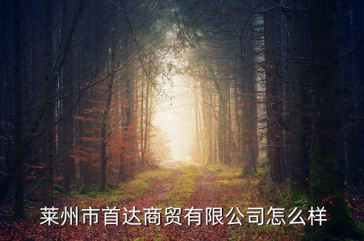  萊州市首達商貿(mào)有限公司怎么樣