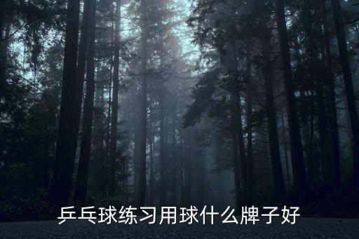 乒乓球練習用球什么牌子好