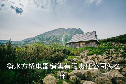  衡水方橋電器銷售有限責任公司怎么樣