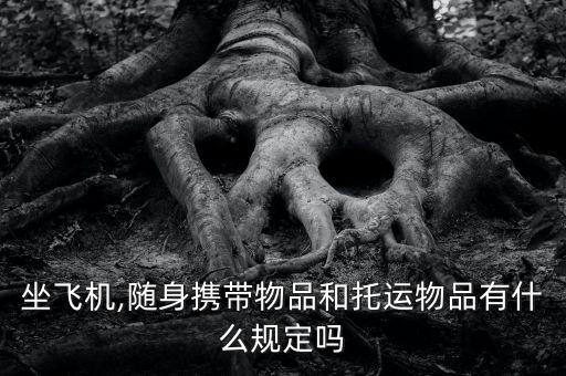 坐飛機(jī),隨身攜帶物品和托運(yùn)物品有什么規(guī)定嗎