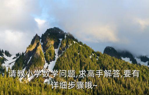 請教小學數(shù)學問題,求高手解答,要有詳細步驟哦~