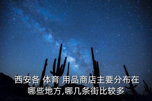  西安各 體育 用品商店主要分布在哪些地方,哪幾條街比較多