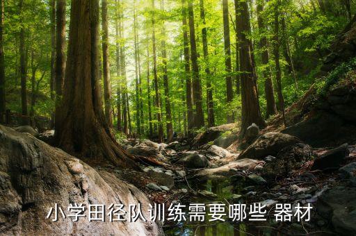  小學(xué)田徑隊(duì)訓(xùn)練需要哪些 器材