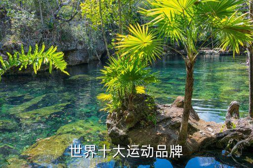 世界十大運(yùn)動品牌