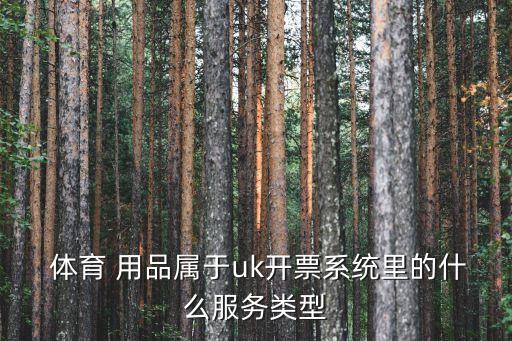 體育 用品屬于uk開(kāi)票系統(tǒng)里的什么服務(wù)類型