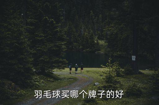 羽毛球買哪個(gè)牌子的好