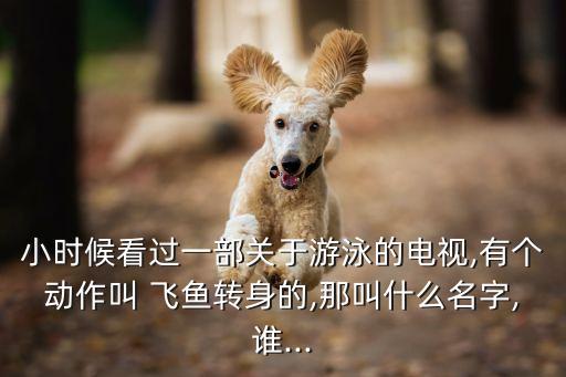 小時(shí)候看過一部關(guān)于游泳的電視,有個(gè)動(dòng)作叫 飛魚轉(zhuǎn)身的,那叫什么名字,誰...