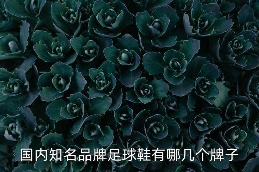 國內知名品牌足球鞋有哪幾個牌子