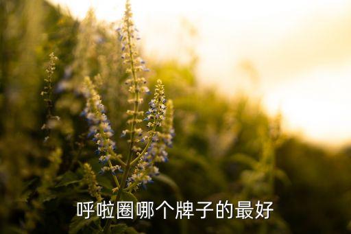 呼啦圈哪個牌子的最好