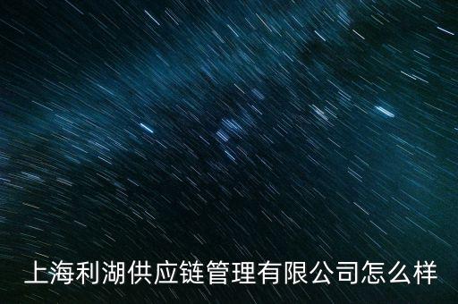  上海利湖供應(yīng)鏈管理有限公司怎么樣