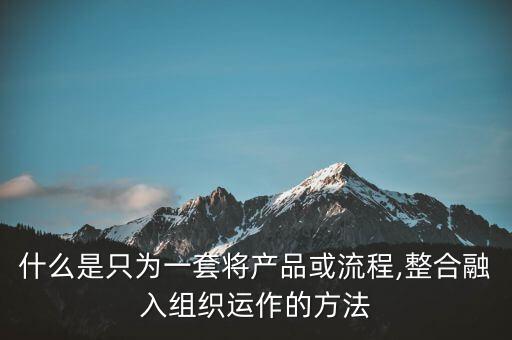 什么是只為一套將產(chǎn)品或流程,整合融入組織運(yùn)作的方法