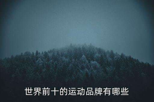 世界前十的運(yùn)動品牌有哪些