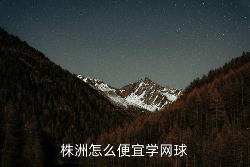 株洲怎么便宜學網(wǎng)球
