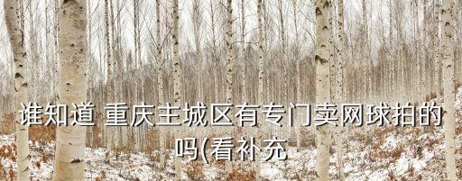 誰知道 重慶主城區(qū)有專門賣網(wǎng)球拍的嗎(看補(bǔ)充