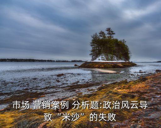 市場(chǎng) 營(yíng)銷案例 分析題:政治風(fēng)云導(dǎo)致“米沙”的失敗