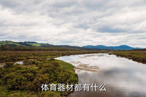 體育用品類(lèi)簡(jiǎn)筆畫(huà)大全,蟲(chóng)類(lèi)簡(jiǎn)筆畫(huà)圖片大全