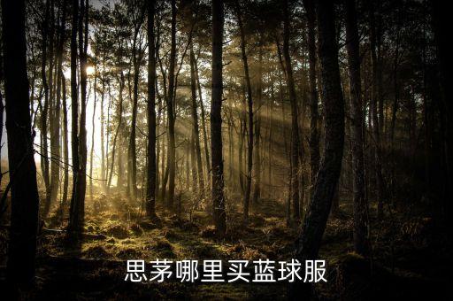 思茅哪里買藍(lán)球服
