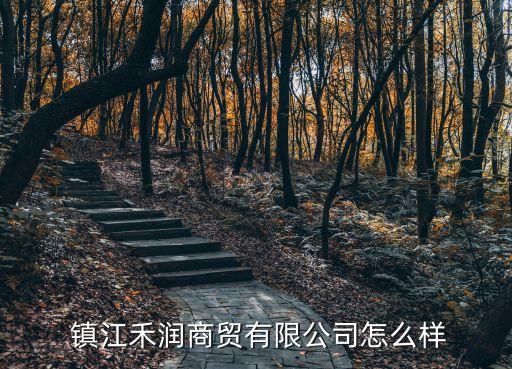  鎮(zhèn)江禾潤商貿(mào)有限公司怎么樣