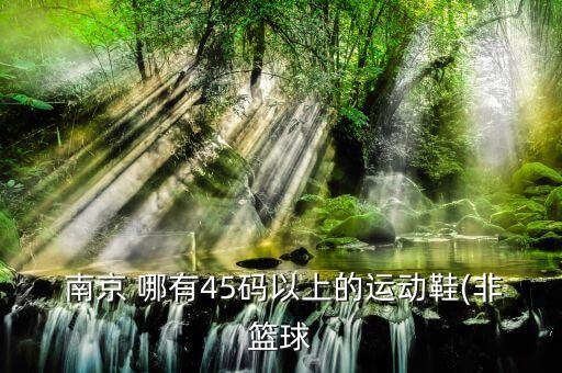  南京 哪有45碼以上的運動鞋(非籃球