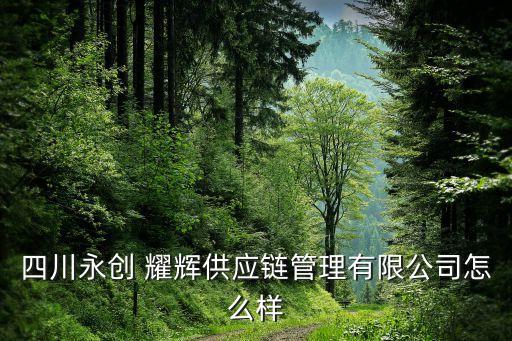四川永創(chuàng) 耀輝供應(yīng)鏈管理有限公司怎么樣