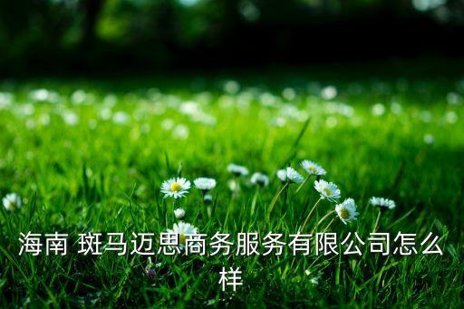 海南 斑馬邁思商務服務有限公司怎么樣