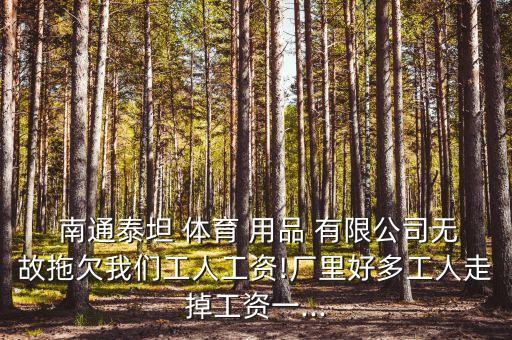  南通泰坦 體育 用品 有限公司無(wú)故拖欠我們工人工資!廠里好多工人走掉工資一...