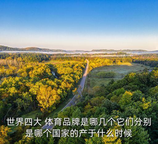 世界四大 體育品牌是哪幾個(gè)它們分別是哪個(gè)國家的產(chǎn)于什么時(shí)候