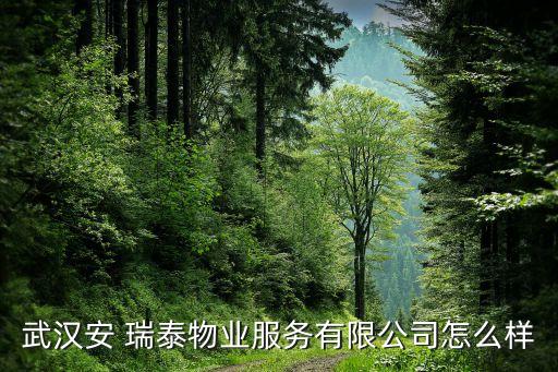武漢安 瑞泰物業(yè)服務(wù)有限公司怎么樣