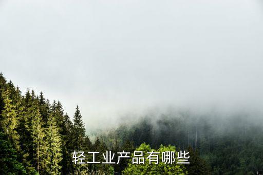 輕工業(yè)產(chǎn)品有哪些