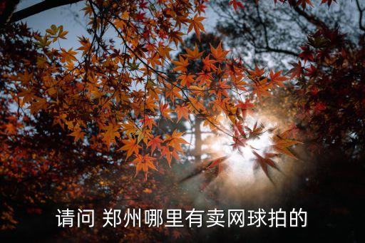 請問 鄭州哪里有賣網(wǎng)球拍的