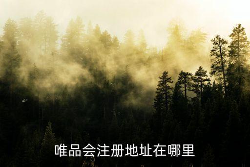 唯品會注冊地址在哪里