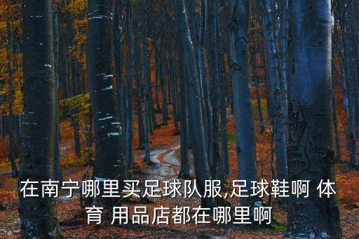 在南寧哪里買足球隊服,足球鞋啊 體育 用品店都在哪里啊