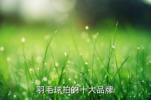 川崎體育用品代理,大為蘇州體育用品 是代理哪個(gè)品牌
