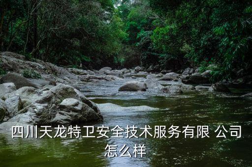 四川天龍?zhí)匦l(wèi)安全技術(shù)服務(wù)有限 公司怎么樣