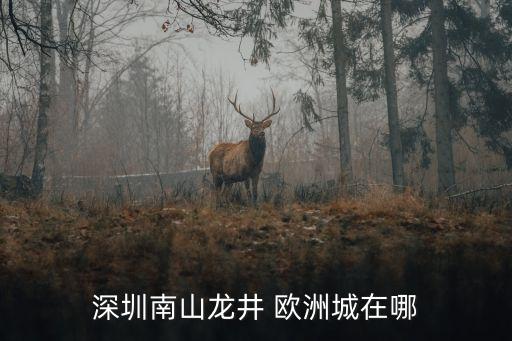 深圳南山龍井 歐洲城在哪