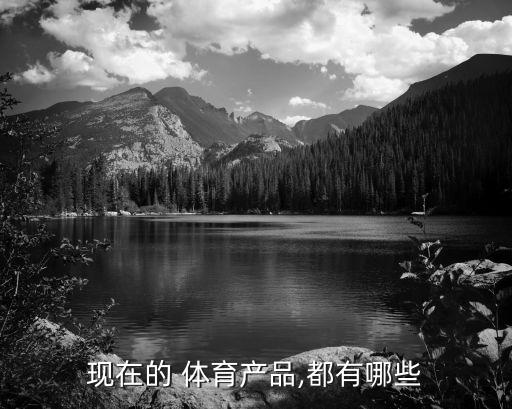 現在的 體育產品,都有哪些