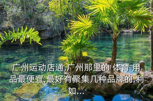 廣州運(yùn)動(dòng)店通,廣州那里的 體育 用品最便宜,最好有聚集幾種品牌的,利如...