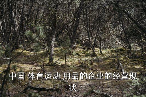 中國 體育運(yùn)動 用品的企業(yè)的經(jīng)營現(xiàn)狀