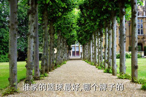 誰(shuí)家的籃球最好,哪個(gè)牌子的
