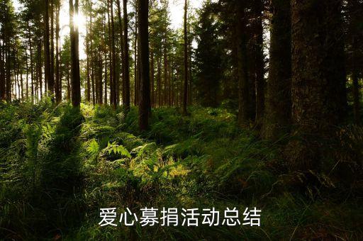 愛(ài)心募捐活動(dòng)總結(jié)