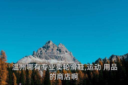  溫州哪有專業(yè)賣輪滑鞋,運動 用品的商店啊