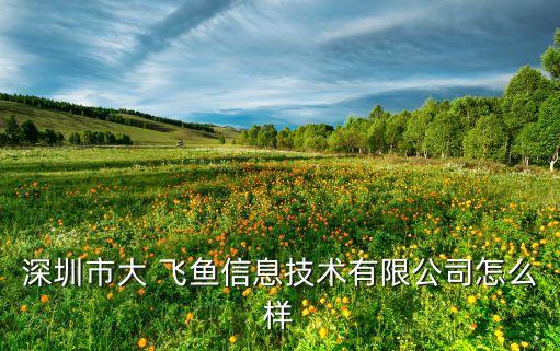 飛魚(yú)體育用品,泉州飛魚(yú)體育用品有限公司