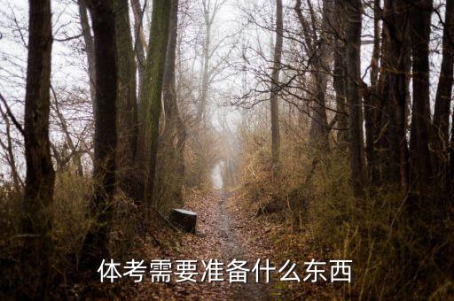體考需要準(zhǔn)備什么東西