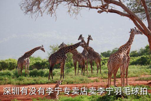 深圳有沒有李寧專賣店賣李寧羽毛球拍