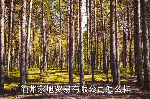  衢州永旭貿(mào)易有限公司怎么樣
