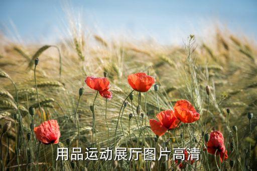 體育用品運(yùn)動(dòng)展廳圖片高清