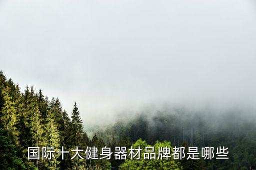 國際十大健身器材品牌都是哪些