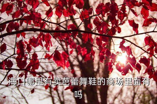  海口哪里有賣芭蕾舞鞋的商場(chǎng)里面有嗎