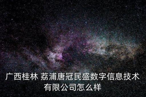 廣西桂林 荔浦唐冠民盛數字信息技術有限公司怎么樣
